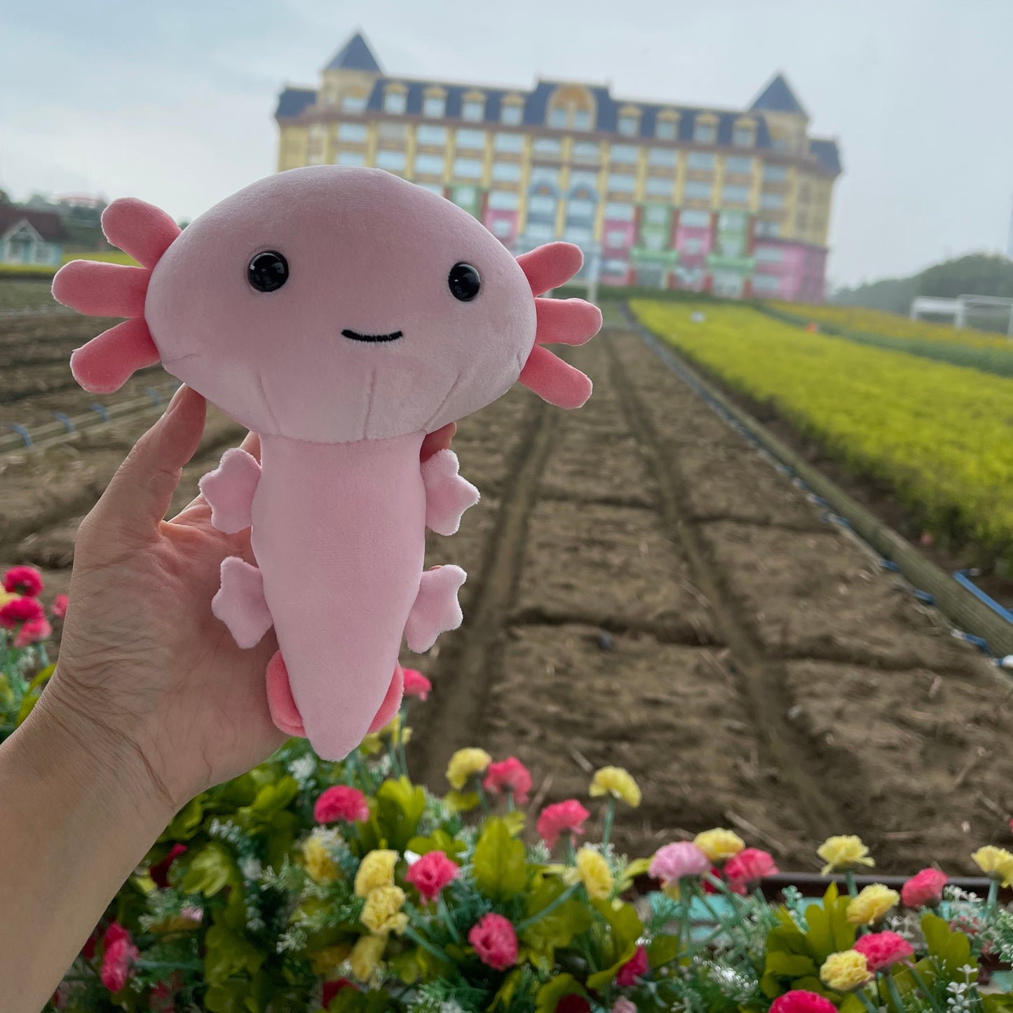 20cm Plush Toy